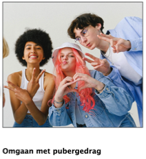 workshop pubergedrag