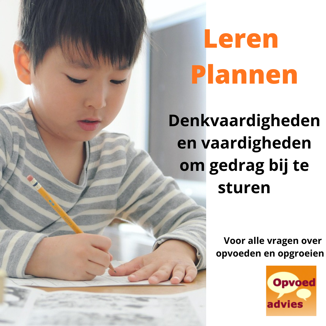 executieve functies