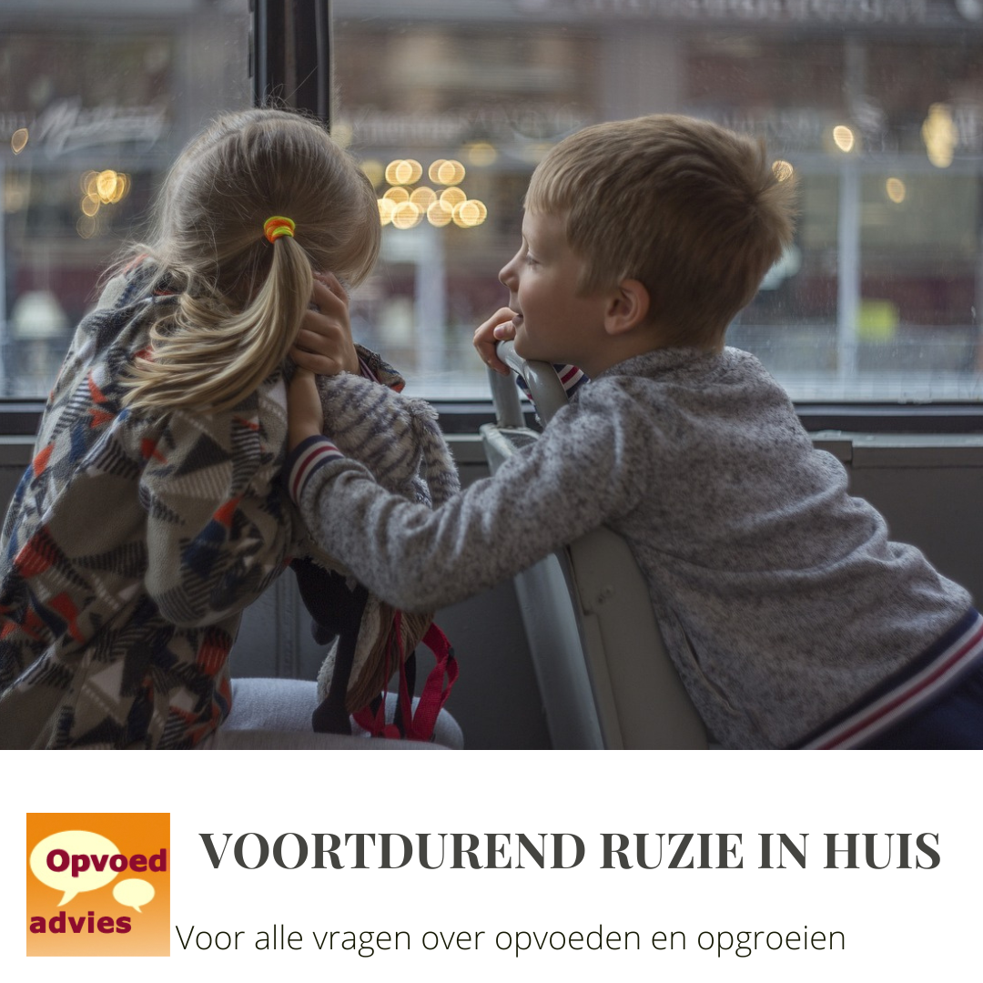 ruzie broer zus